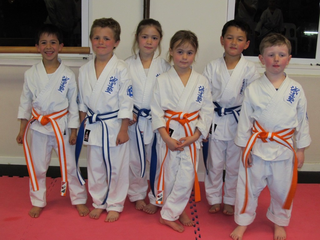 Junior White Belt Grading